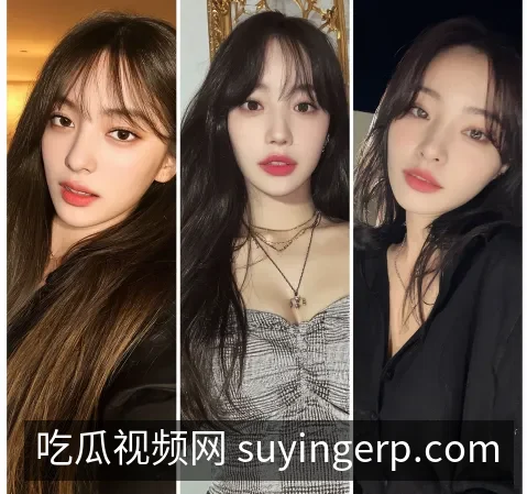 进度续看